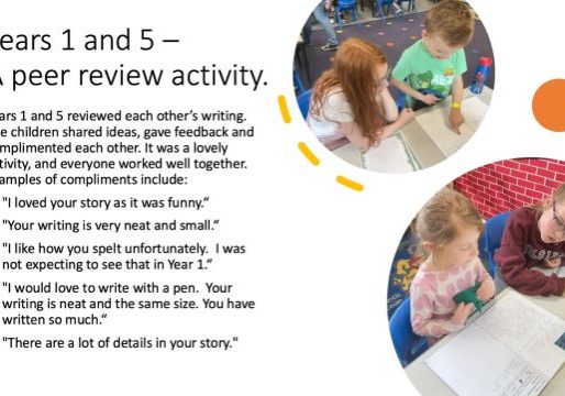 Years 1 And 5 – Peer Review